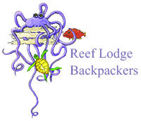 reef-lodge-backpackers-accomodation-townsville
